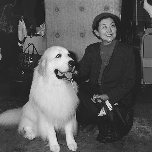 Masumi Kura 